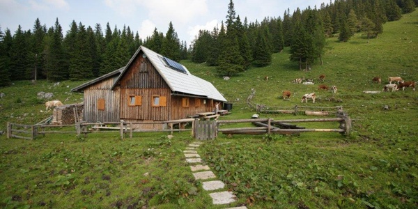 Picture of that hut